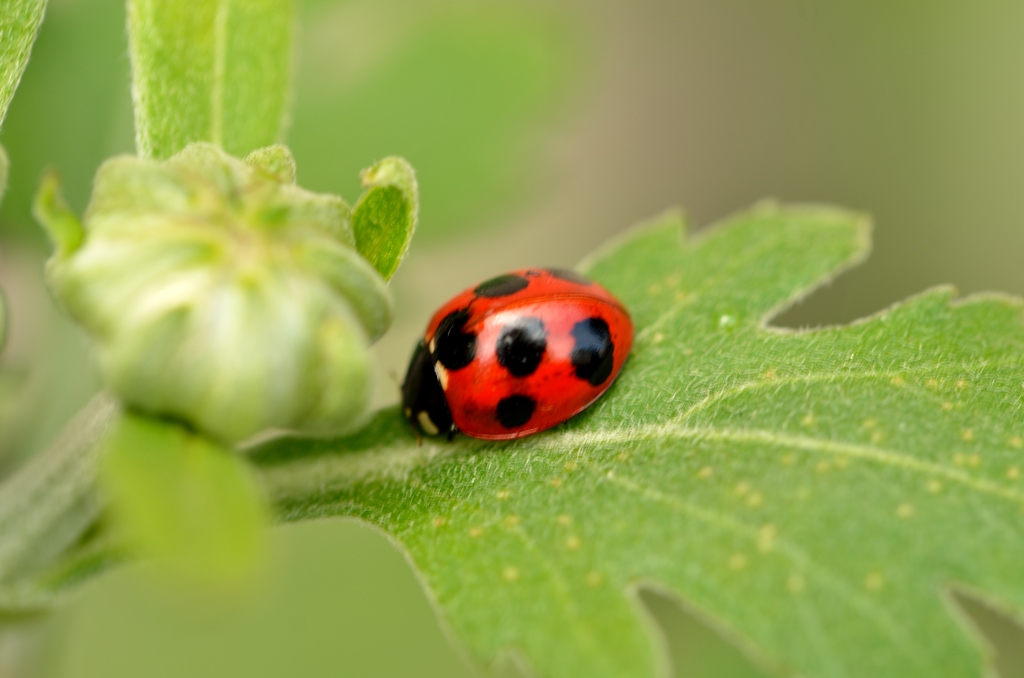 固まってしまいました・・・