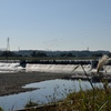 多摩川