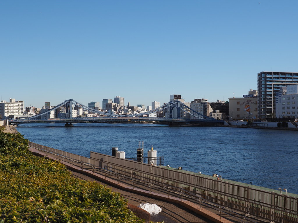 朝の隅田川