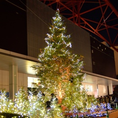 東京タワー クリスマスイルミネーション