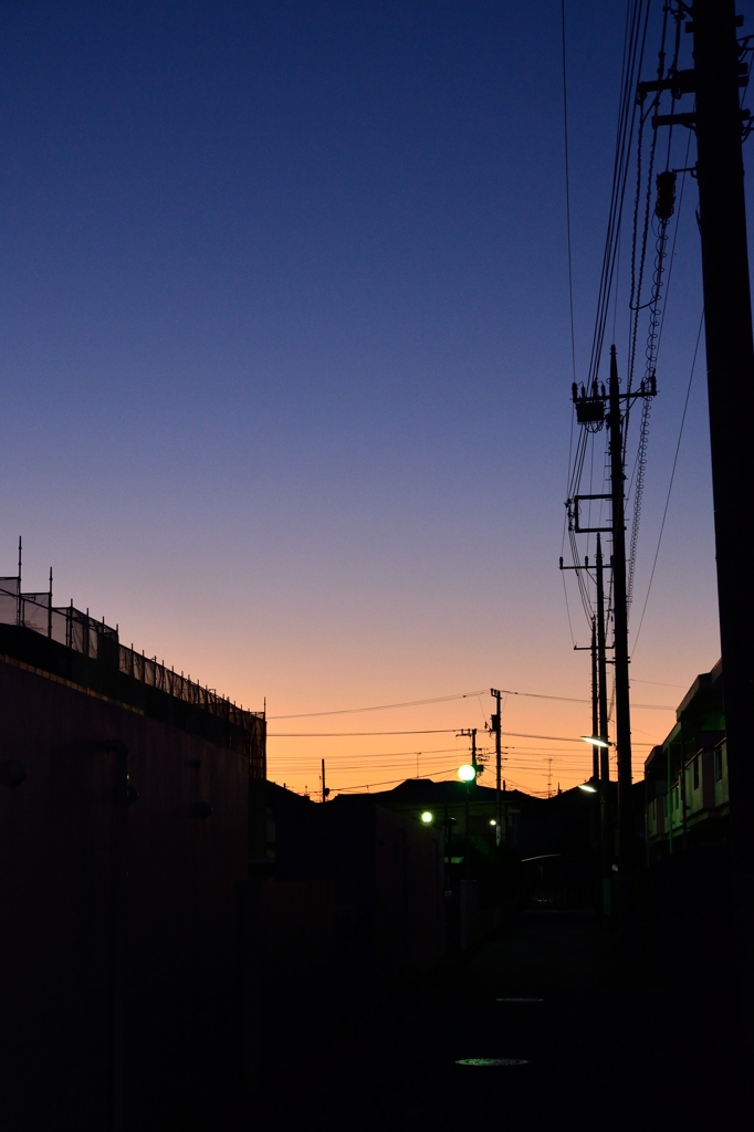 うちの晩ごはん、何かな