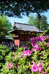 根津神社