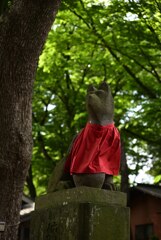柴崎神社の狛狐