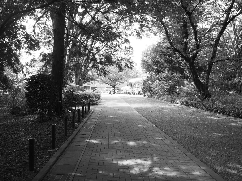 神代植物公園