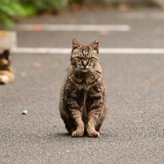 撮るなら、早く撮って