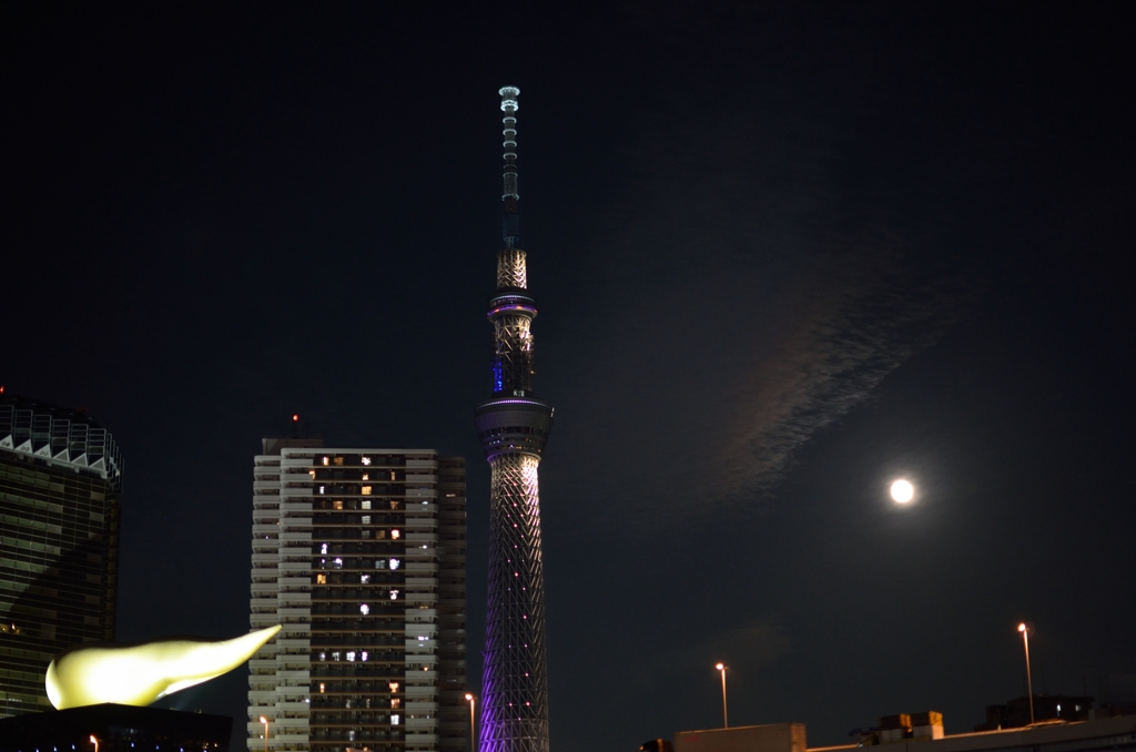 スカイツリー　隅田川より