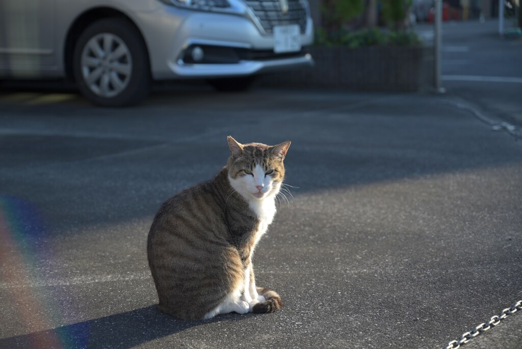 な～に