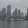 雨の永代橋