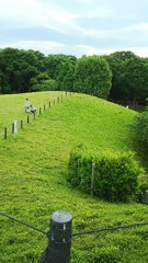 緑の丘