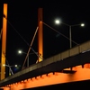 夜の新大橋
