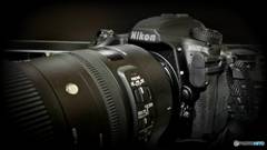 Ｄ５００