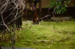 豊橋公園