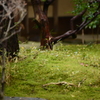 豊橋公園