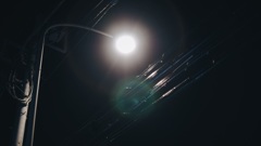 電灯