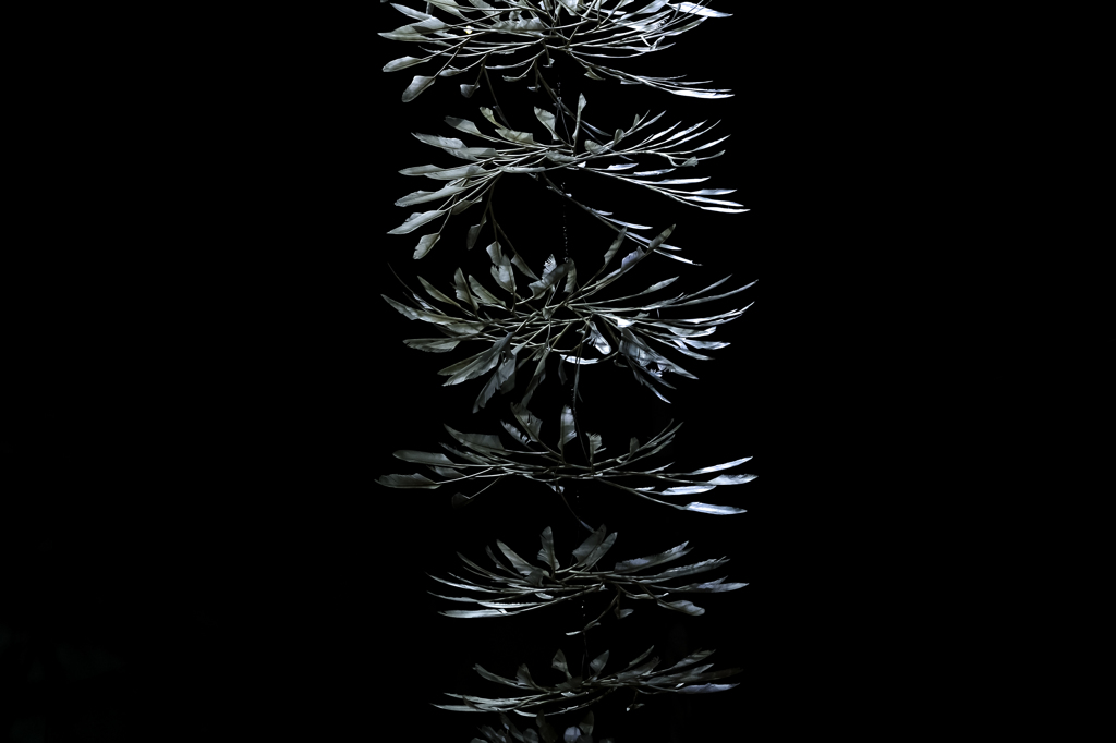 蜘蛛の糸