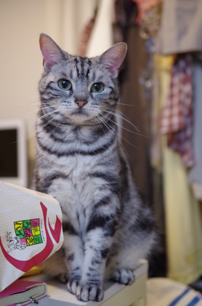 ハート