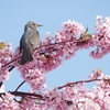 IMG_20150323_193927371