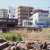 平和な風景