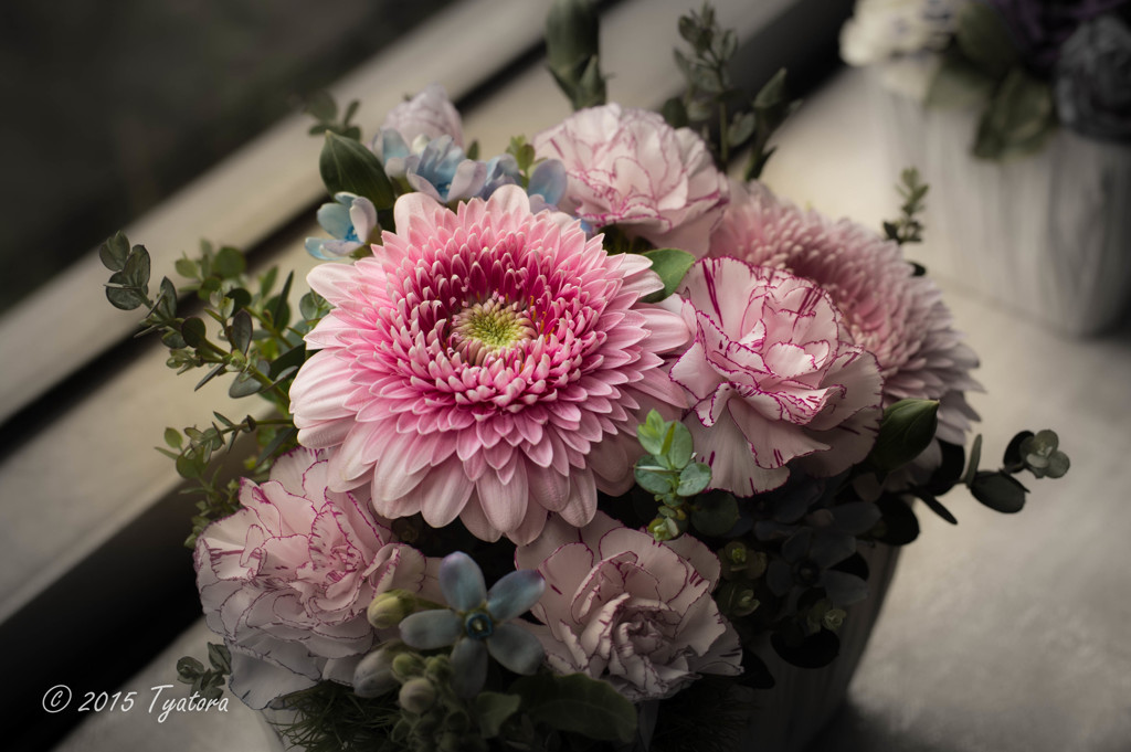 窓際の花