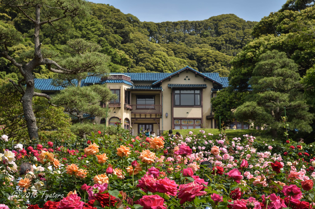 洋館とバラ園