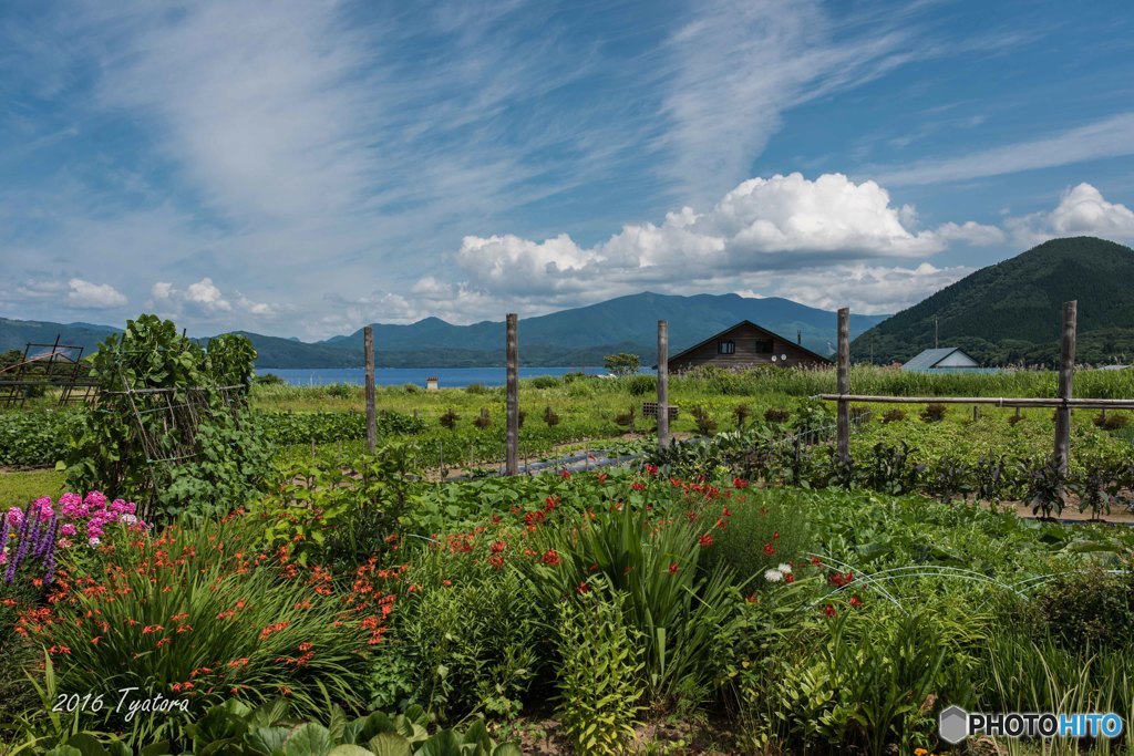庭からの風景