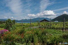 庭からの風景