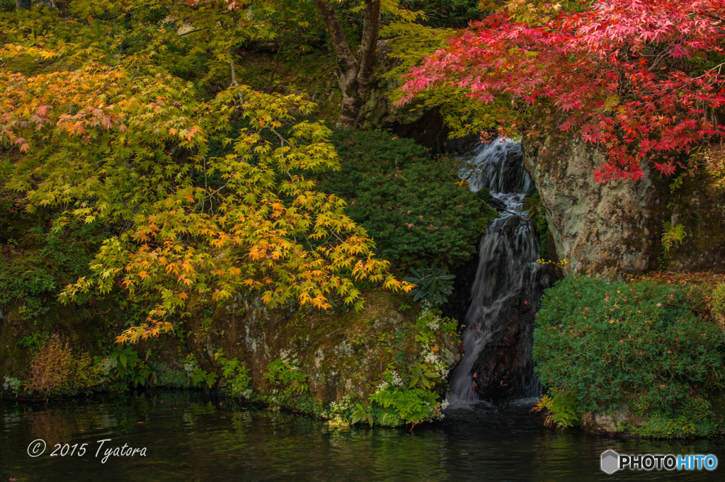 滝と紅葉