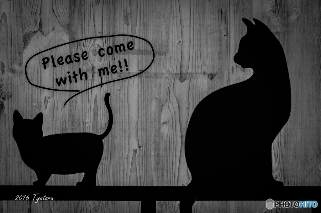 Please come with me!!