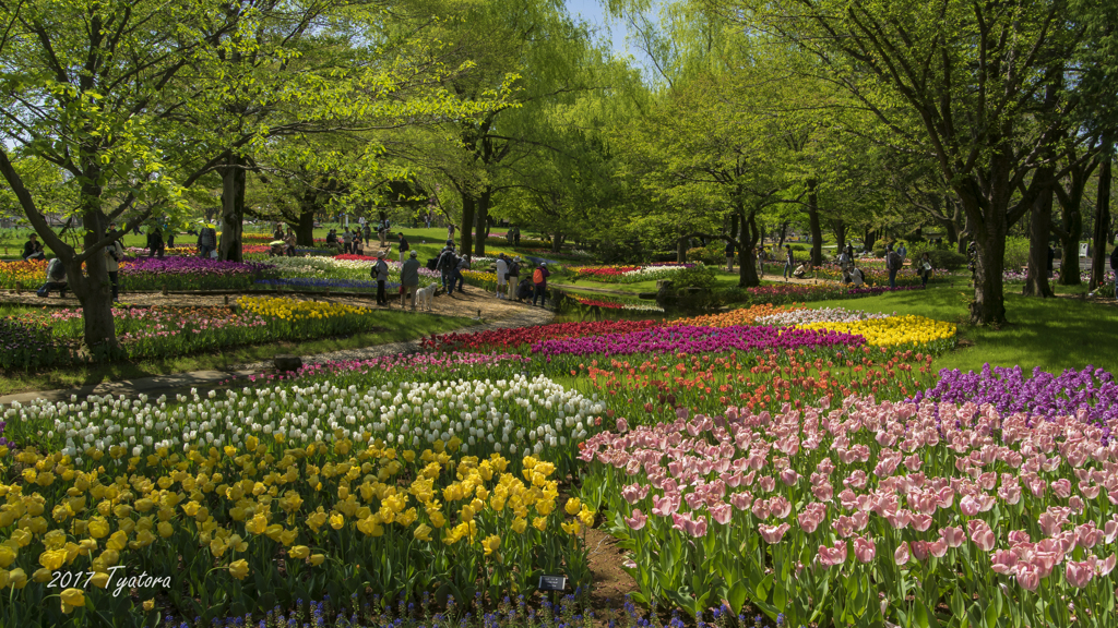 公園の花壇にて