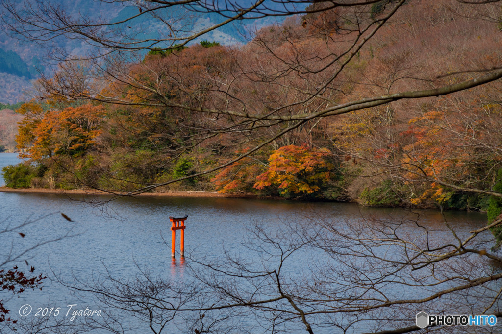 箱根九頭龍の森（紅葉）2