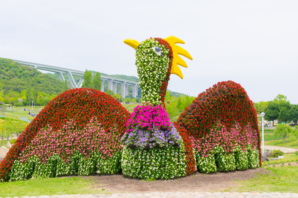 淡路花博2015　国営明石海峡公園⑥