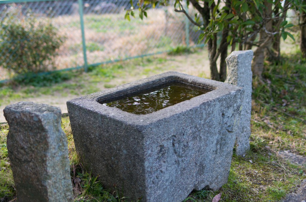 静寂の泉