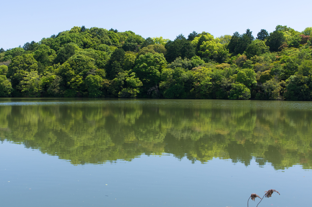 平城京　コナベ古墳