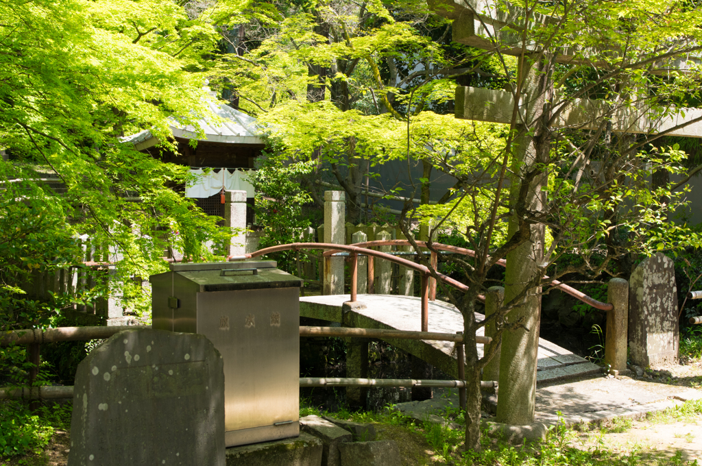 天王山ウォーク①