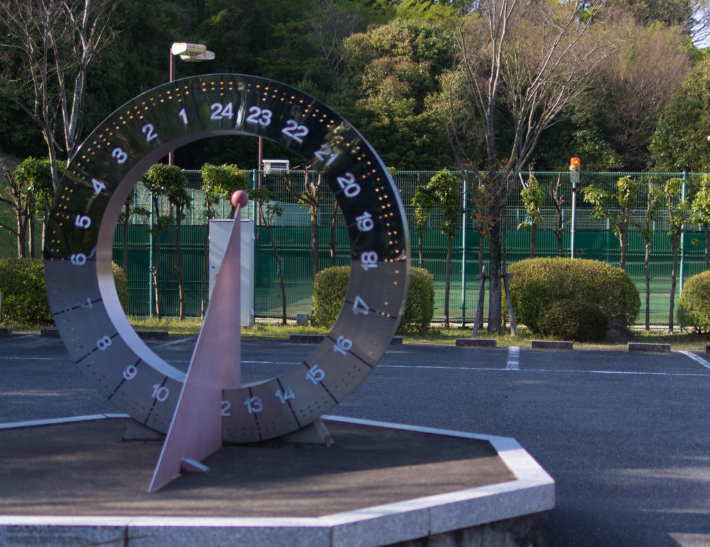 森の散策⑤