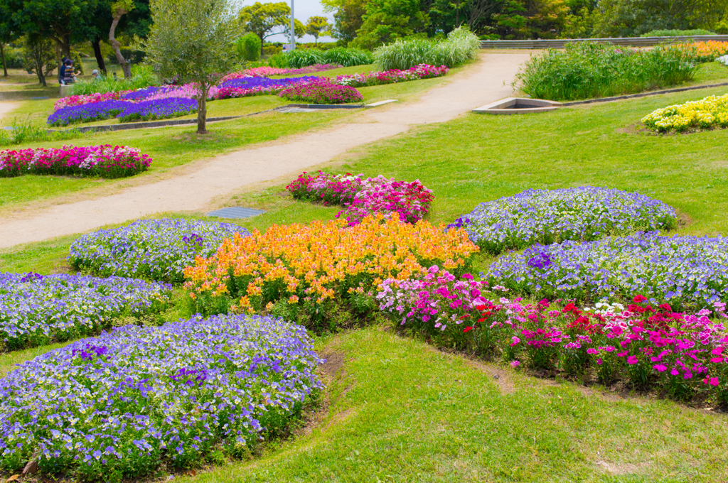 淡路花博2015　国営明石海峡公園③