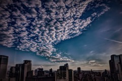 秋のうろこ雲