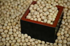 豆豆豆