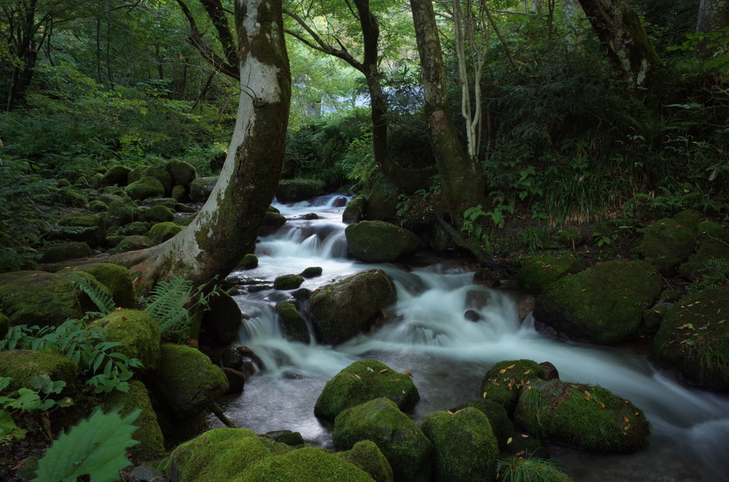 木谷沢渓流 奥大山の天然水