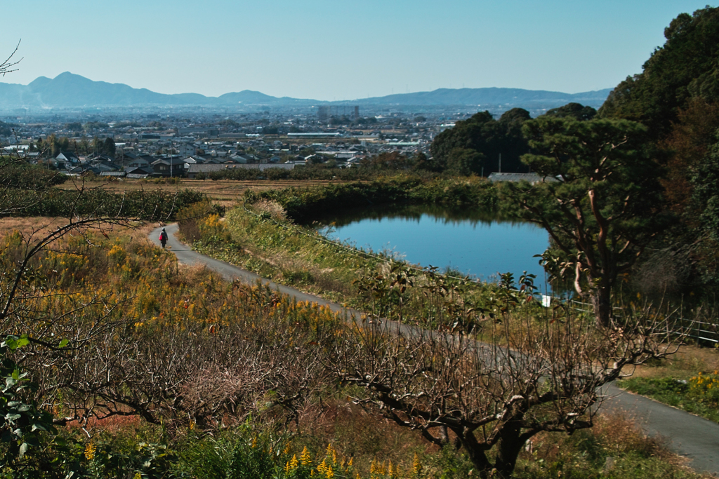 二上山と山の辺の道