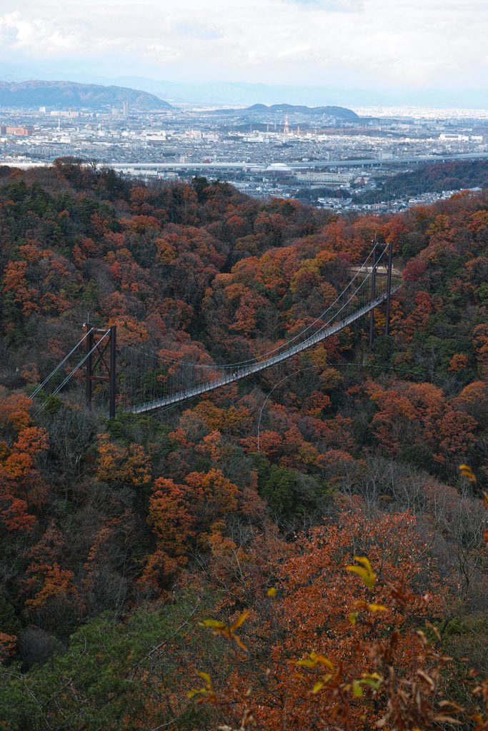 紅葉に架かる橋