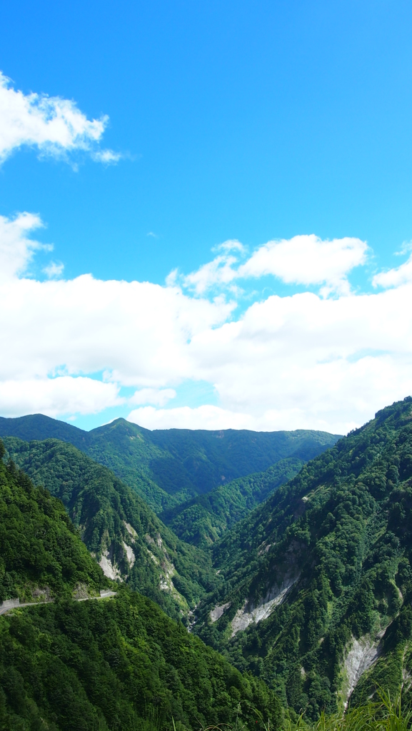 白山白川郷　ホワイトロード