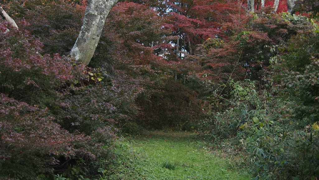 入り口