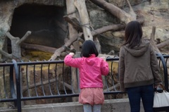 zoo