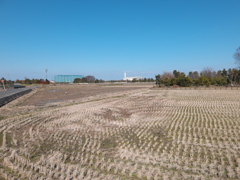 DSCF1064