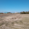 DSCF1064