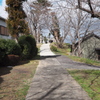 DSCF1215