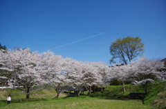 穴場