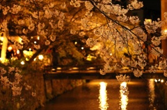 輝く京都の夜。