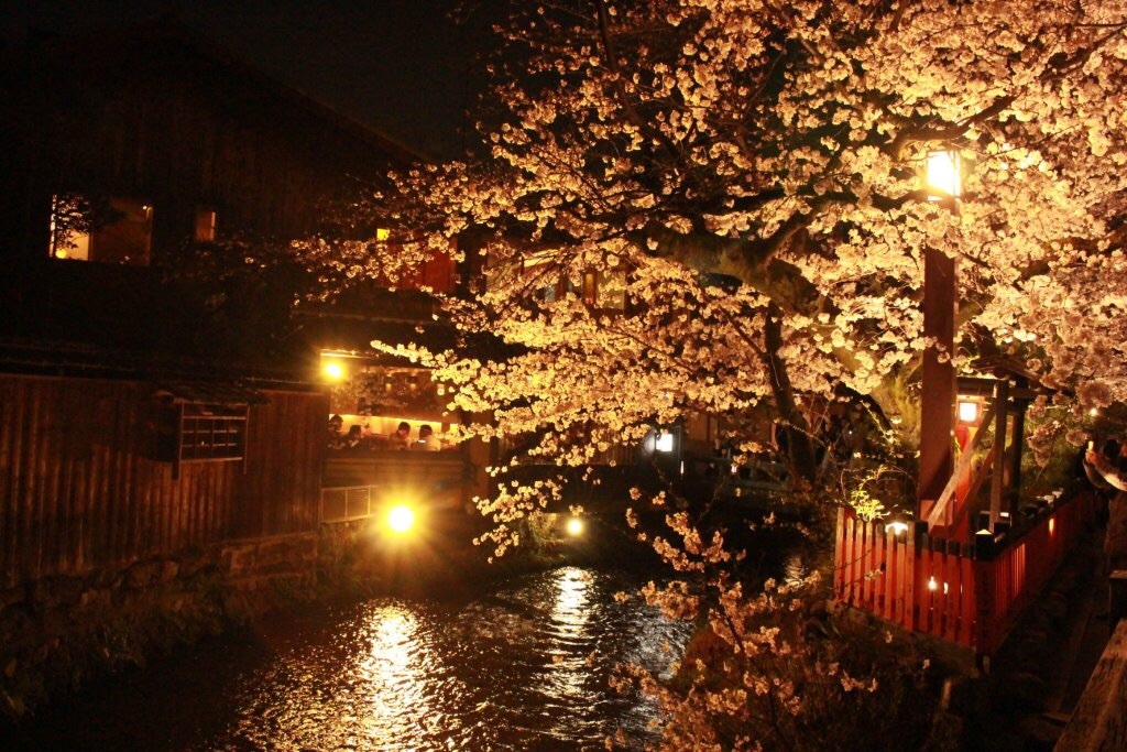 kyoto。